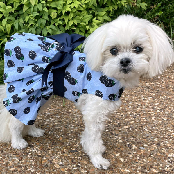 Blackberries Dog Dress with Matching Leash