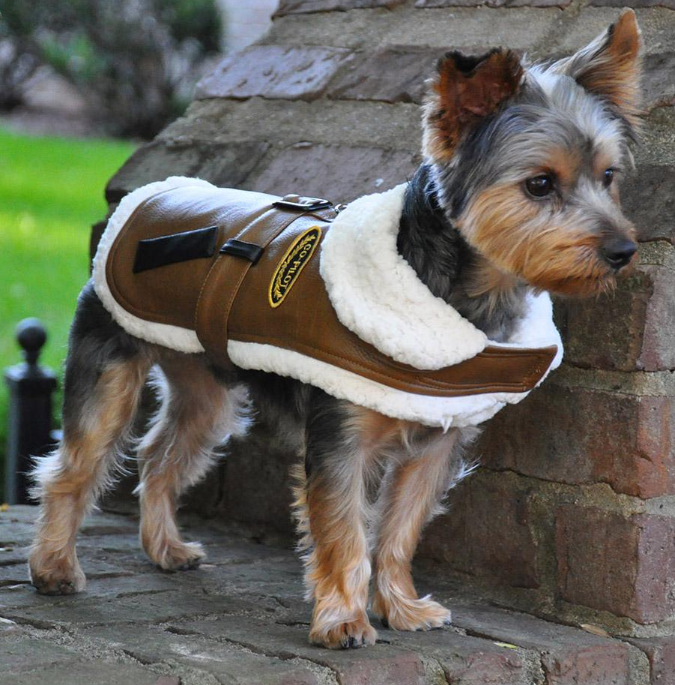 Brown and Black Faux Leather Bomber Dog Coat Harness and Leash