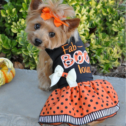 Halloween Fab-BOO-Lous Dress and Matching Leash