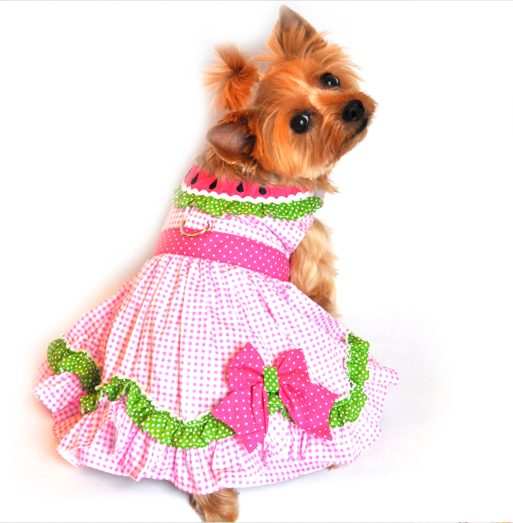 Watermelon Dog Harness Dress