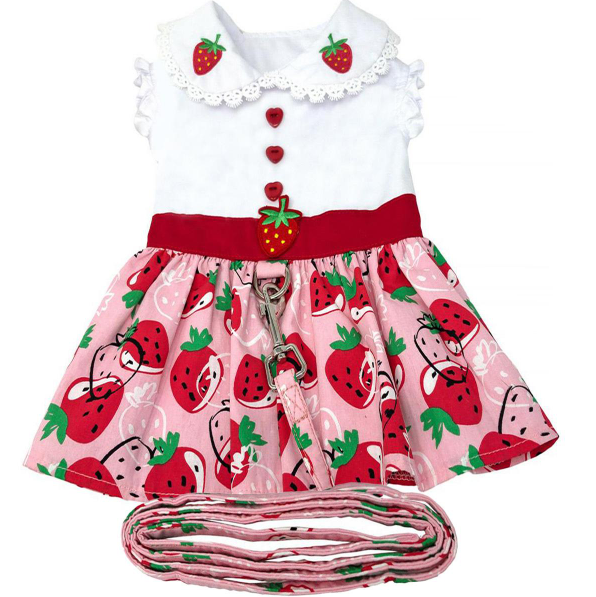 Strawberry Picnic Dog Dress with Matching Leash