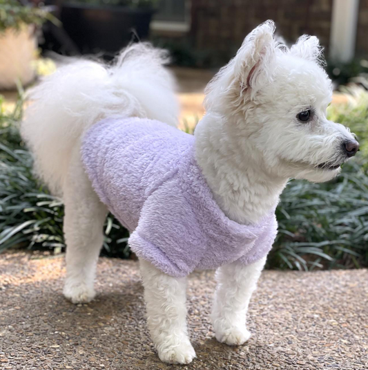 Soft Plush Pullover - Lavender